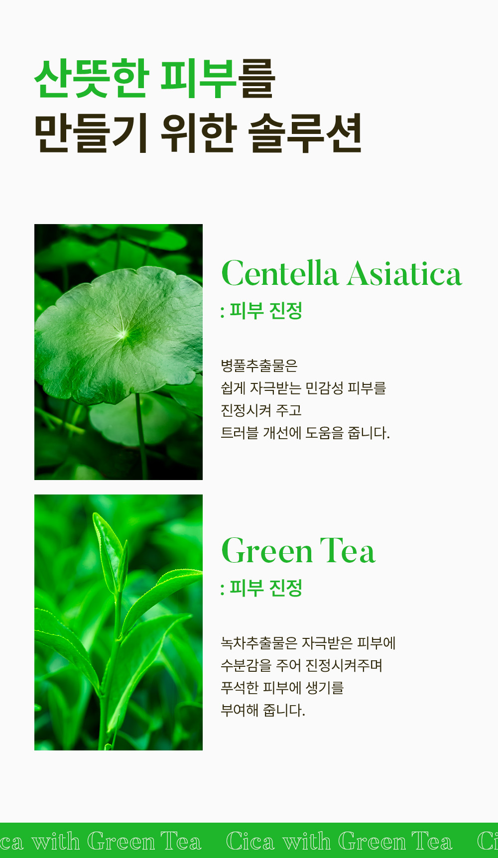 SKIN627-Cica-with-Green-Tea-Intense-Cream-intro-2